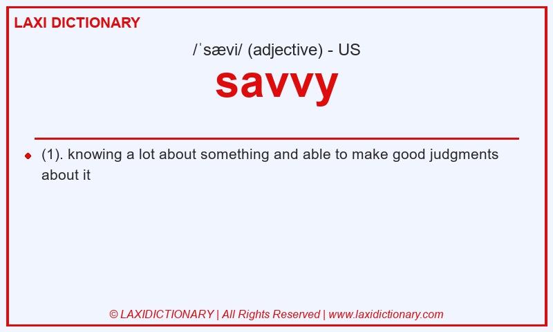 Definition savvy in American English
