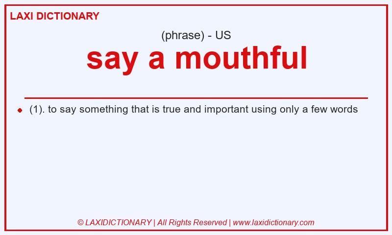 Definition say a mouthful in American English