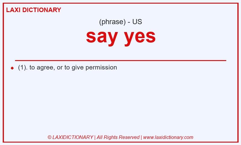 Definition say yes in American English