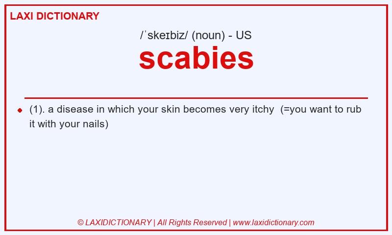Definition scabies in American English