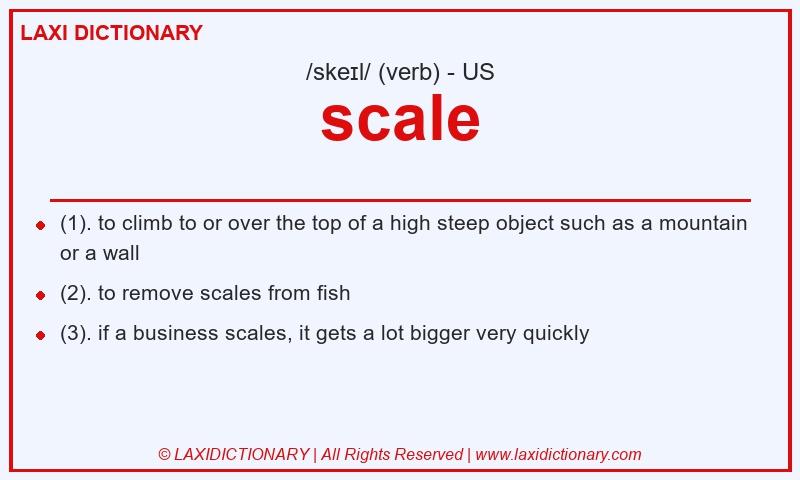 Definition scale in American English
