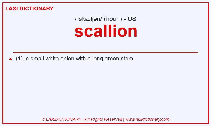 Definition scallion in American English
