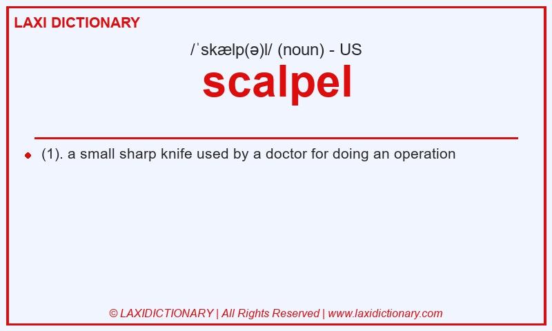 Definition scalpel in American English