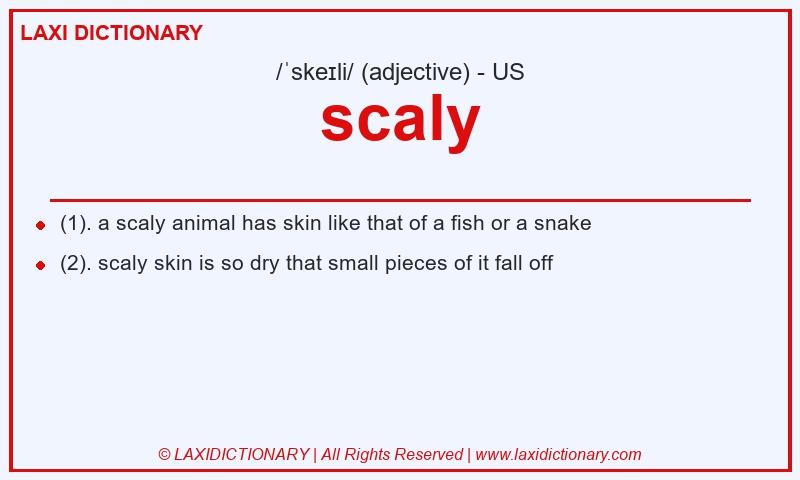 Definition scaly in American English