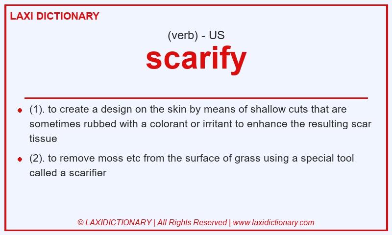Definition scarify in American English