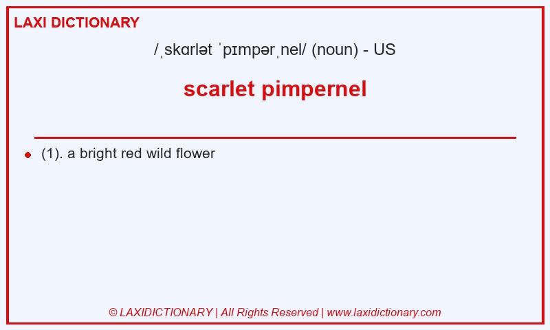 Definition scarlet pimpernel in American English