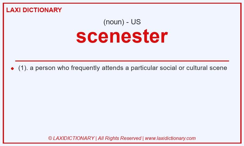 Definition scenester in American English
