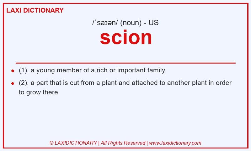 Definition scion in American English