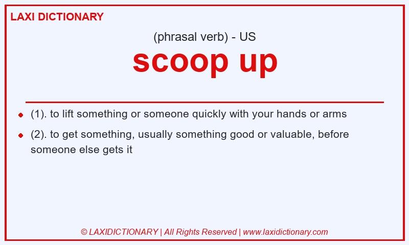 Definition scoop up in American English