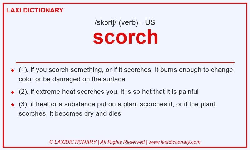 Definition scorch in American English