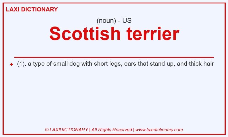 Definition Scottish terrier in American English