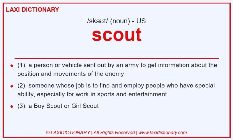 Definition scout in American English