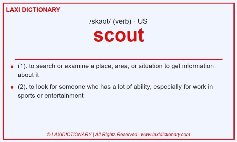 Definition scout in American English