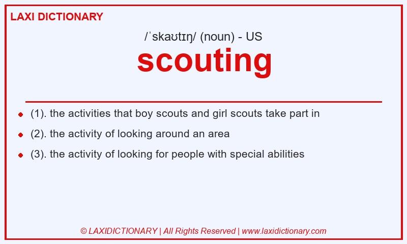 Definition scouting in American English
