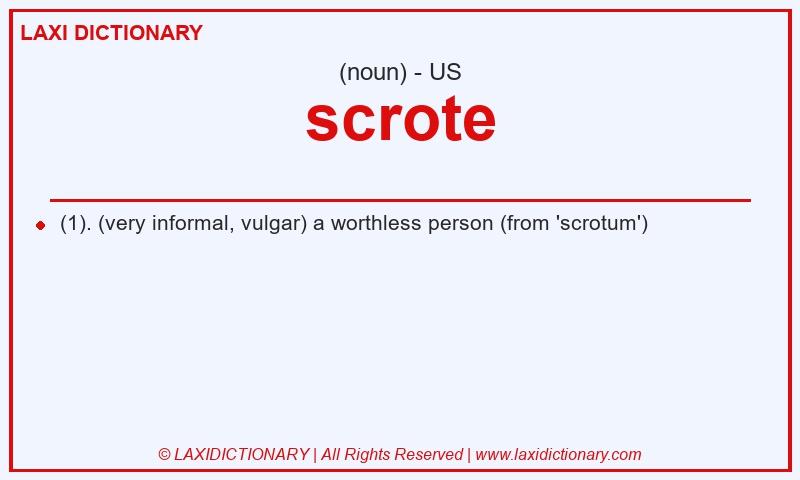 Definition scrote in American English