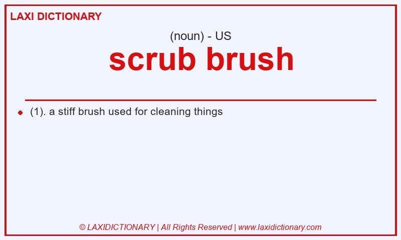 Definition scrub brush in American English