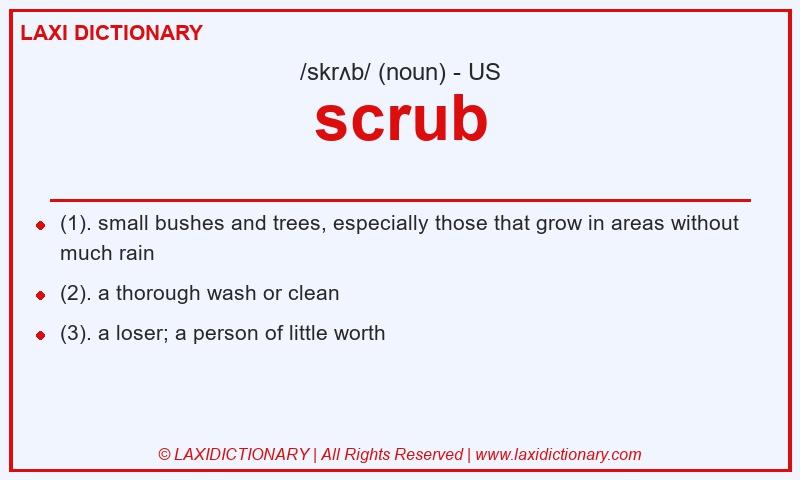 Definition scrub in American English
