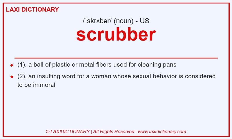 Definition scrubber in American English