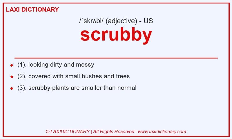 Definition scrubby in American English