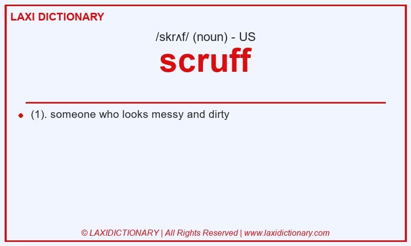 Definition scruff in American English