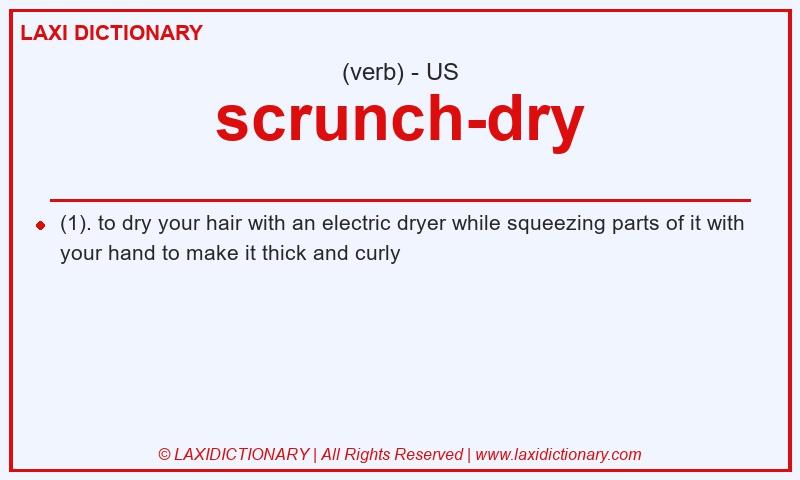Definition scrunch-dry in American English