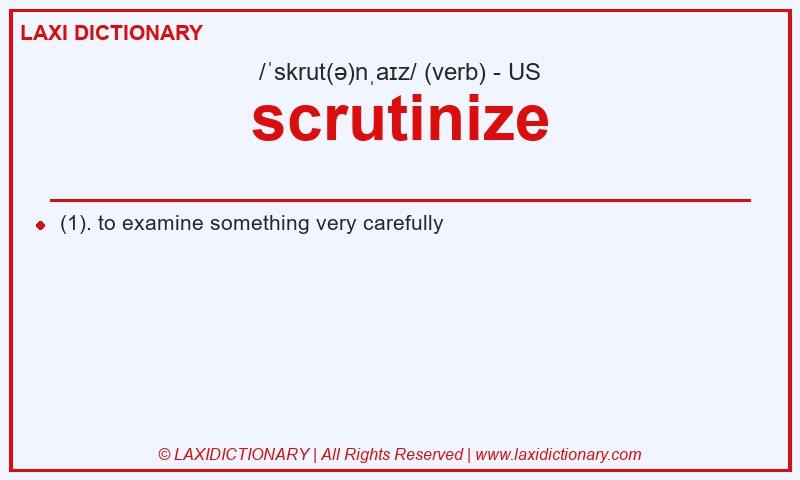 Definition scrutinize in American English