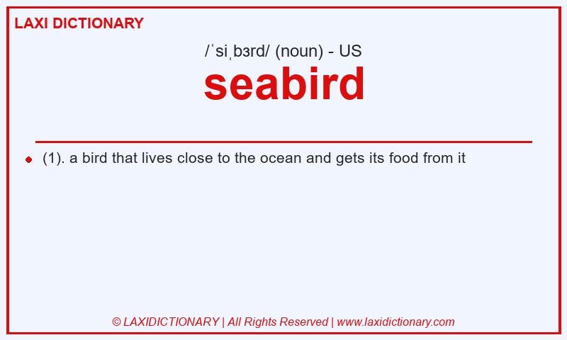 Definition seabird in American English