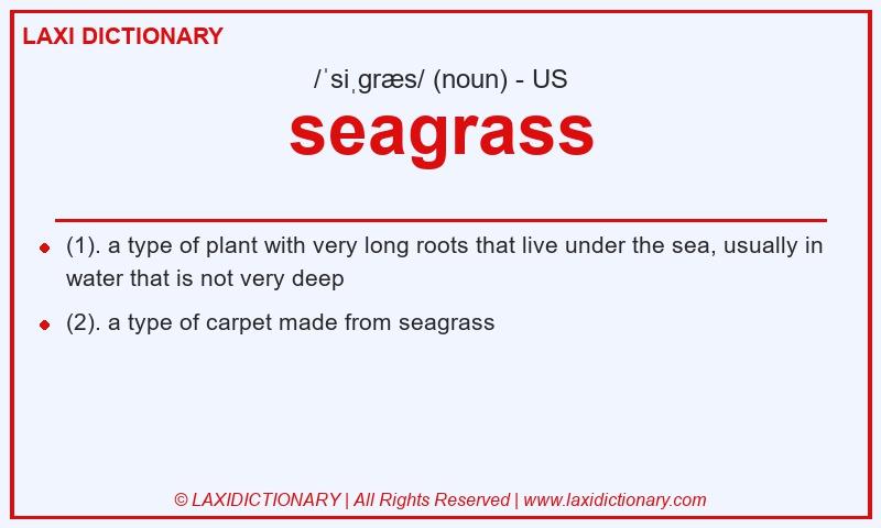 Definition seagrass in American English