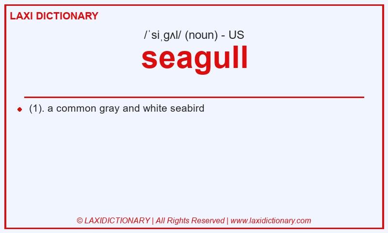 Definition seagull in American English
