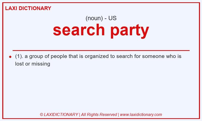Definition search party in American English