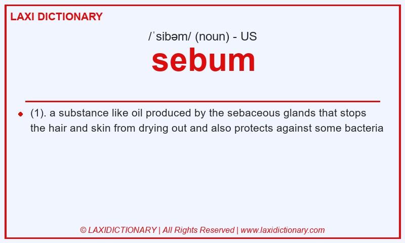 Definition sebum in American English