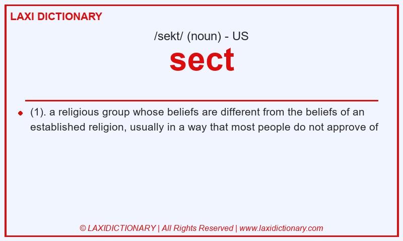 Definition sect in American English