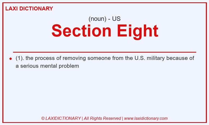 Definition Section Eight in American English