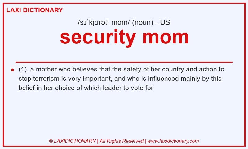 Definition security mom in American English