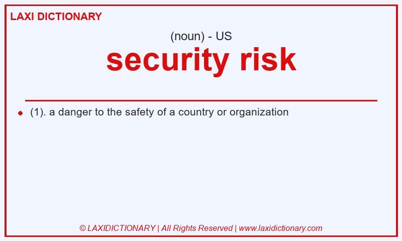 Definition security risk in American English