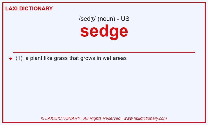 Definition sedge in American English