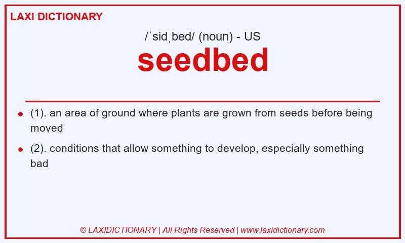 Definition seedbed in American English