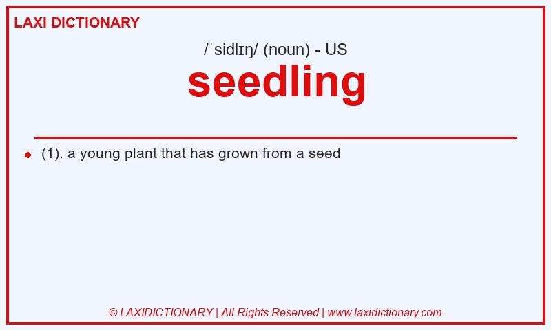 Definition seedling in American English