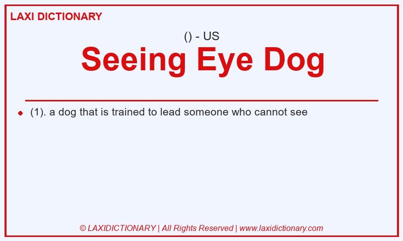 Definition Seeing Eye Dog in American English