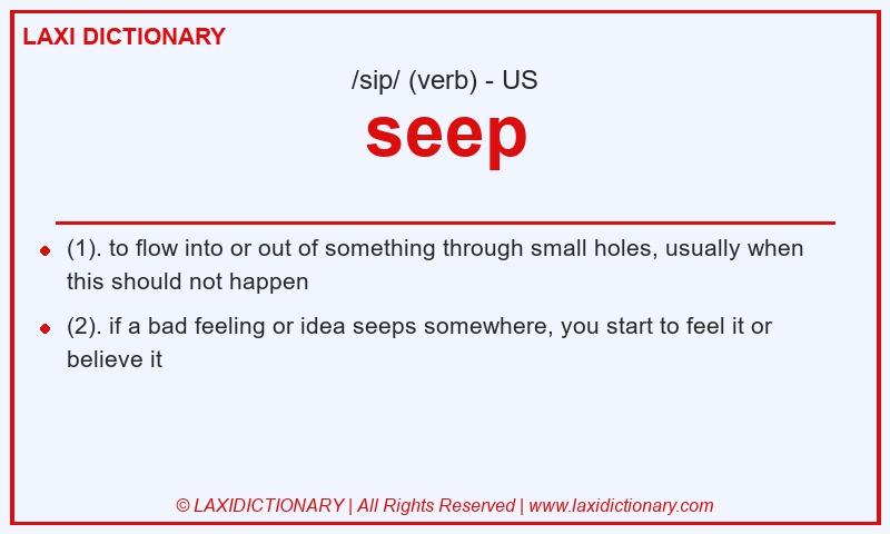 Definition seep in American English