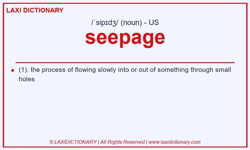 Definition seepage in American English