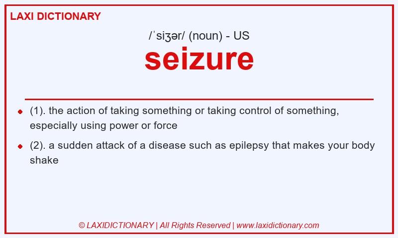 Definition seizure in American English