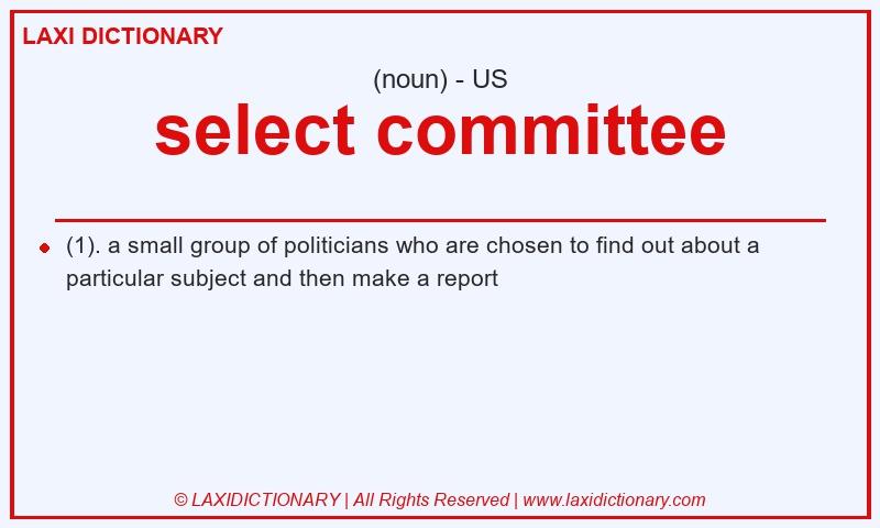 Definition select committee in American English