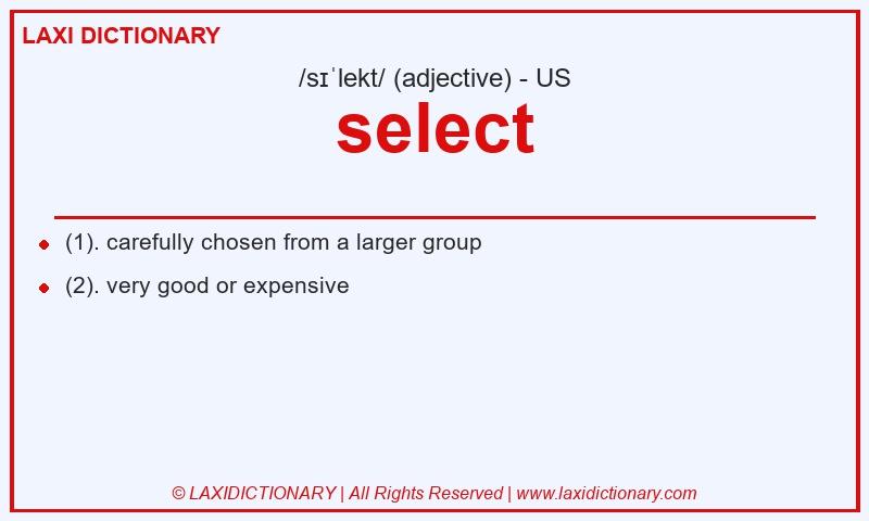 Definition select in American English