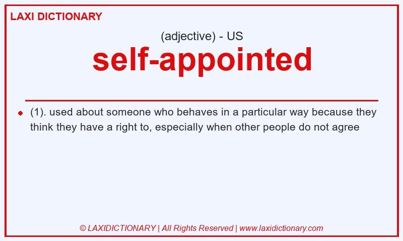 Definition self-appointed in American English