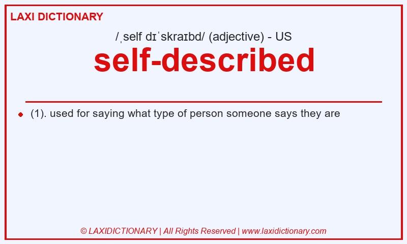 Definition self-described in American English