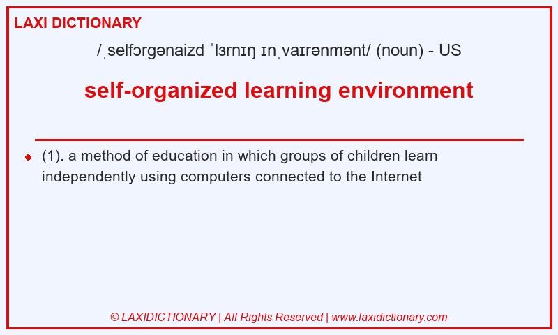Definition self-organized learning environment in American English