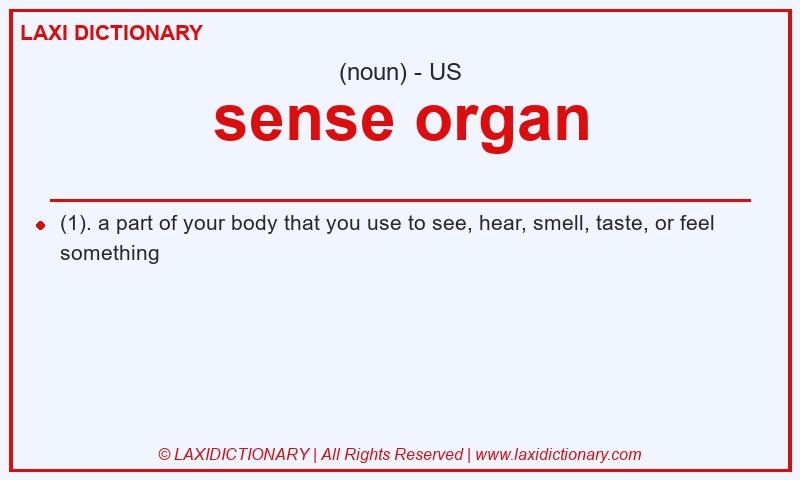 Definition sense organ in American English