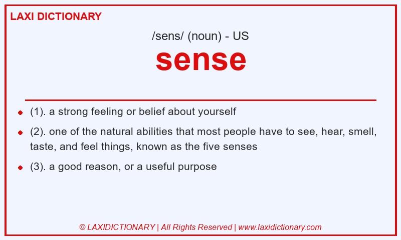 Definition sense in American English