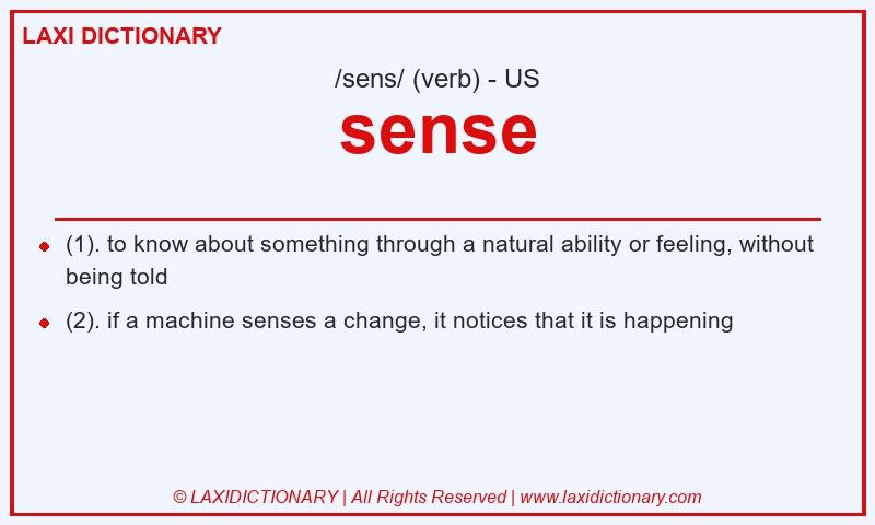 Definition sense in American English